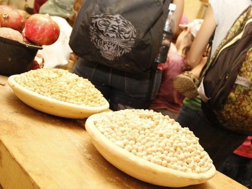 מוזיאון עין יעל